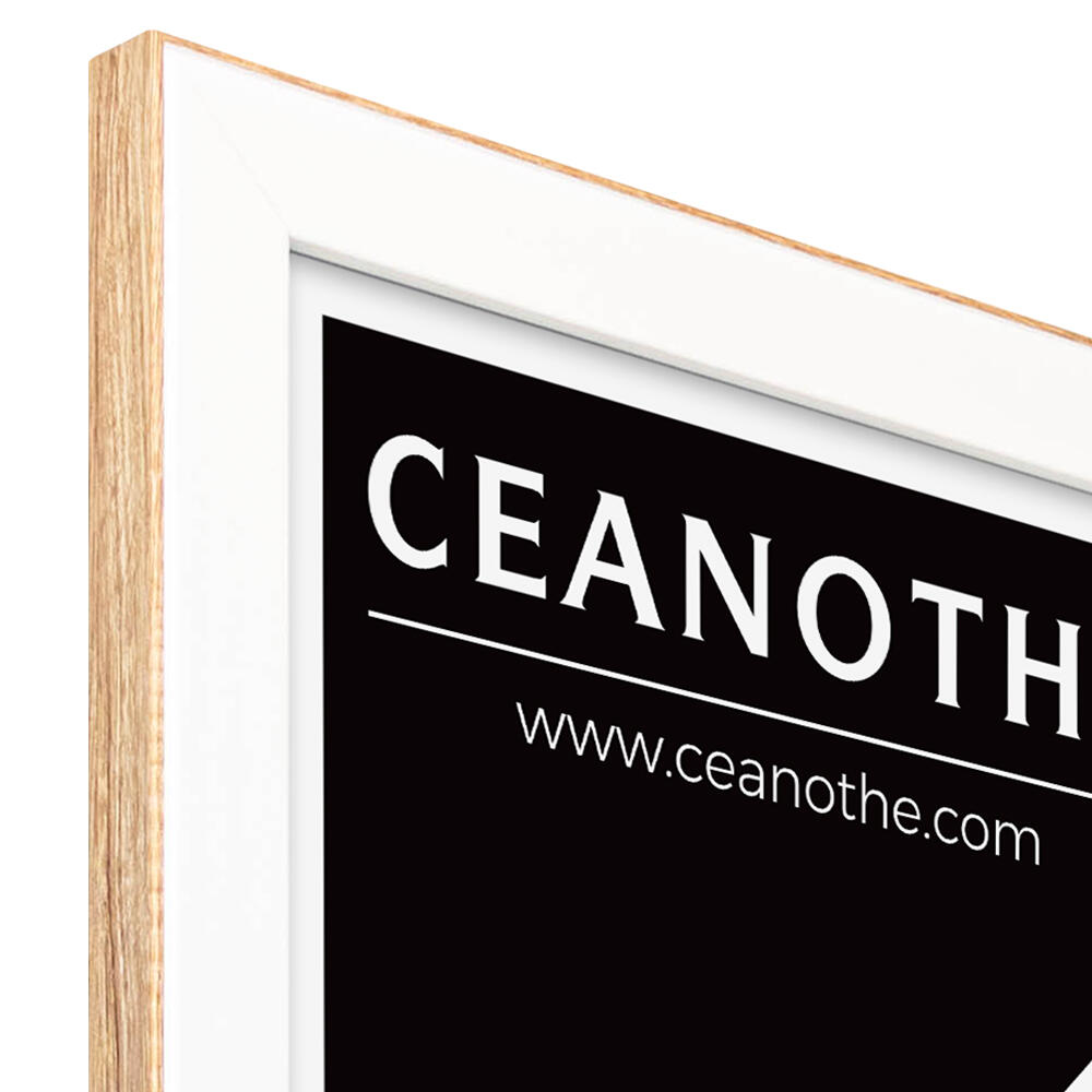 Cadre Newton brut, 40 x 50 cm blanc, CEANOTHE - 8