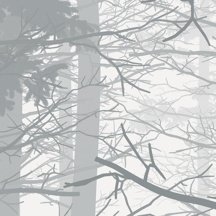 Photo murale Nebula, l.350 x H.250 cm - 6