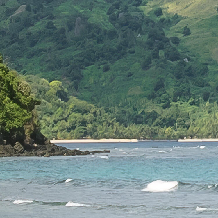 Papier peint panoramique rêve de coco multicolore l.300 x H.250 cm - 2