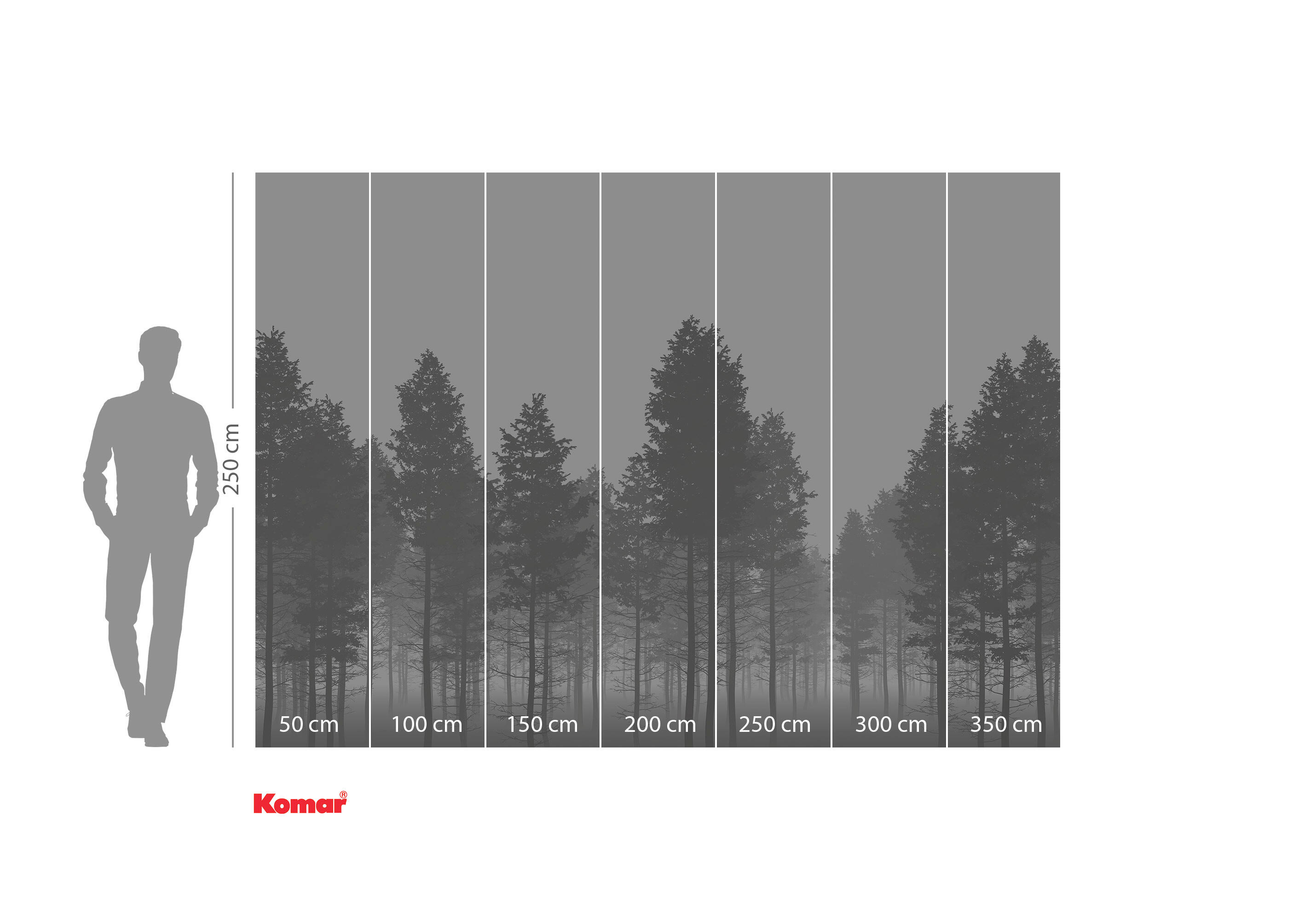 Photo murale Nebula, l.350 x H.250 cm - 4