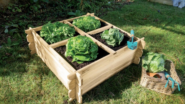 Carré potager en bois BASIL, CERLAND, 1.28 m², 100x100x27 cm