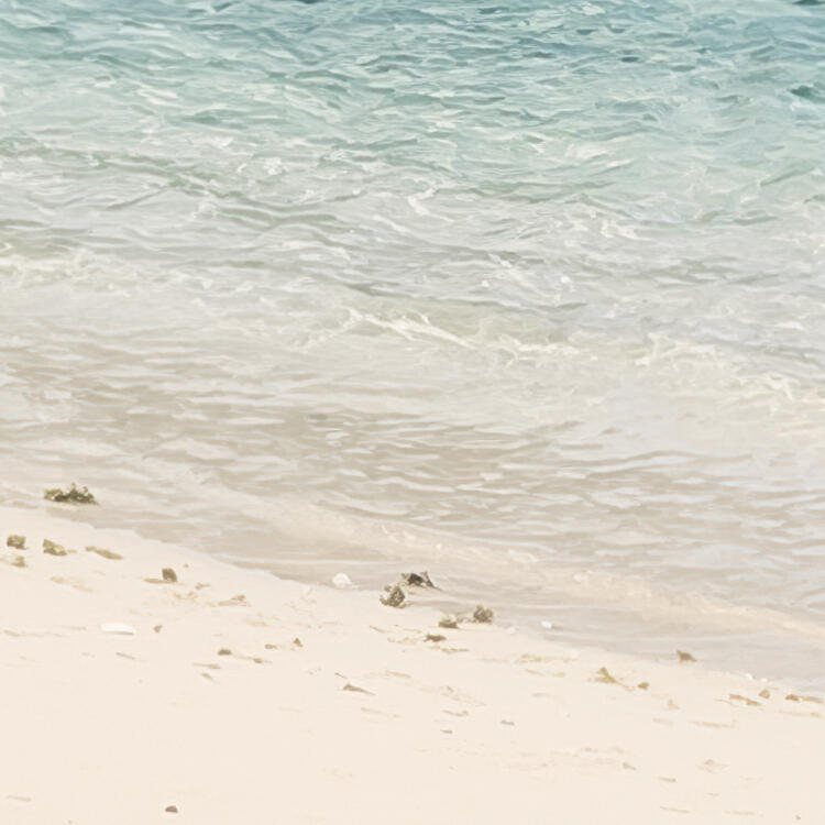 Papier peint panoramique rêve de coco multicolore l.300 x H.250 cm - 6