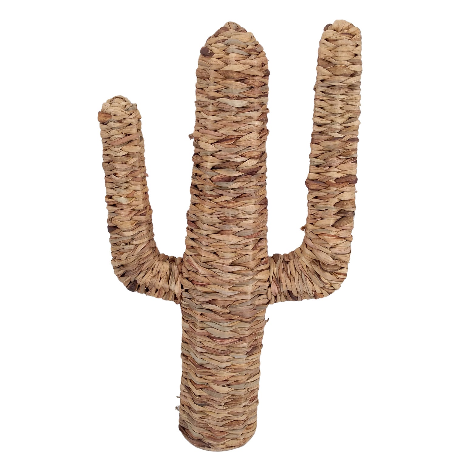 cactus-d-coratif-en-jacinthe-d-eau-l-14-x-h-75-cm-leroy-merlin