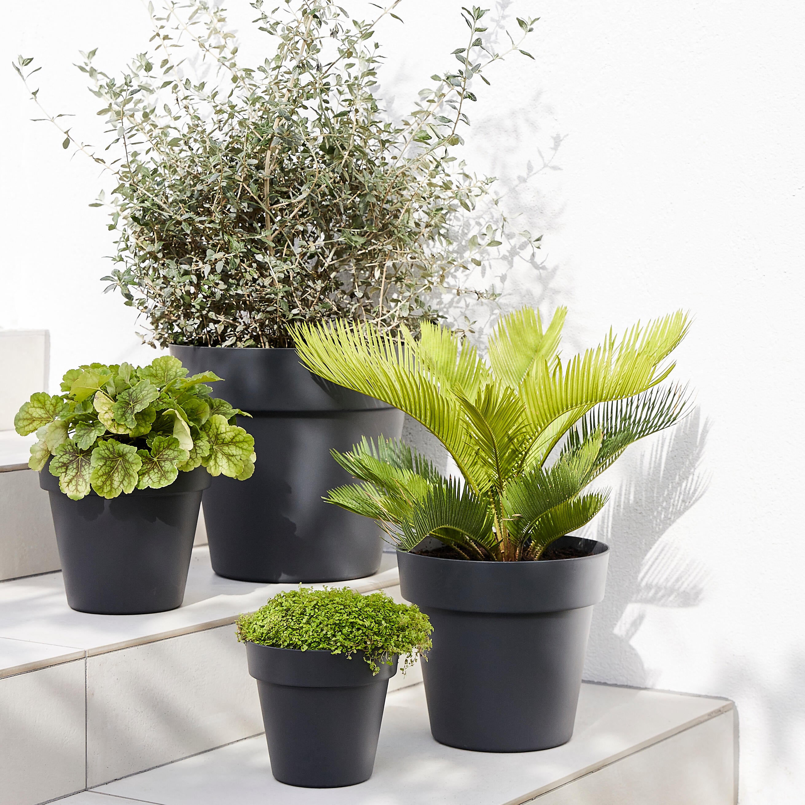 Lot De 2 Pots De Fleurs En Plastique Rond - Cache-pot Moderne Sans Trous (18 Cm, Noir) - Pour Intérieur, Herbes, Petites Plantes