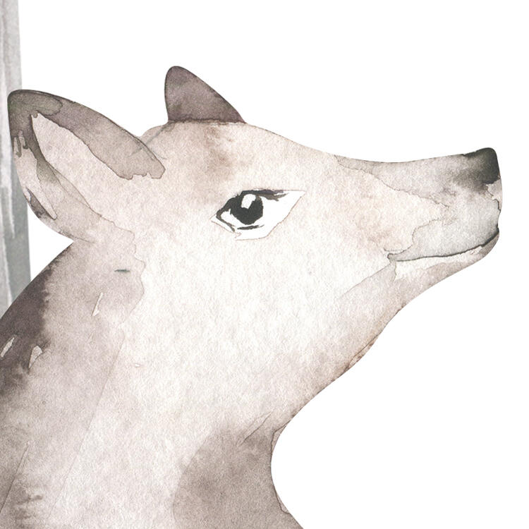 Mural TNT liso  Infantil Animaux de la Foret blanco 350 x 250 cm KOMAR - 2