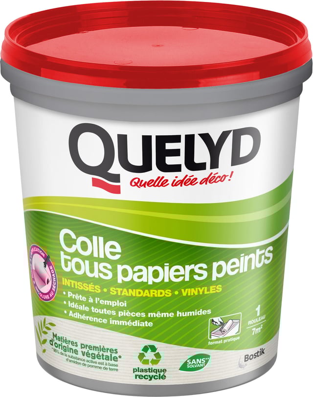 Colle en pâte tous types de papiers peints QUELYD, 1kg