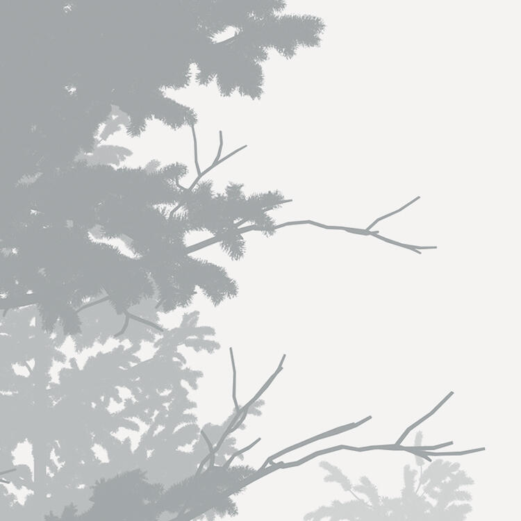 Photo murale Nebula, l.350 x H.250 cm - 7