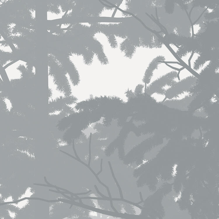 Photo murale Nebula, l.350 x H.250 cm - 5