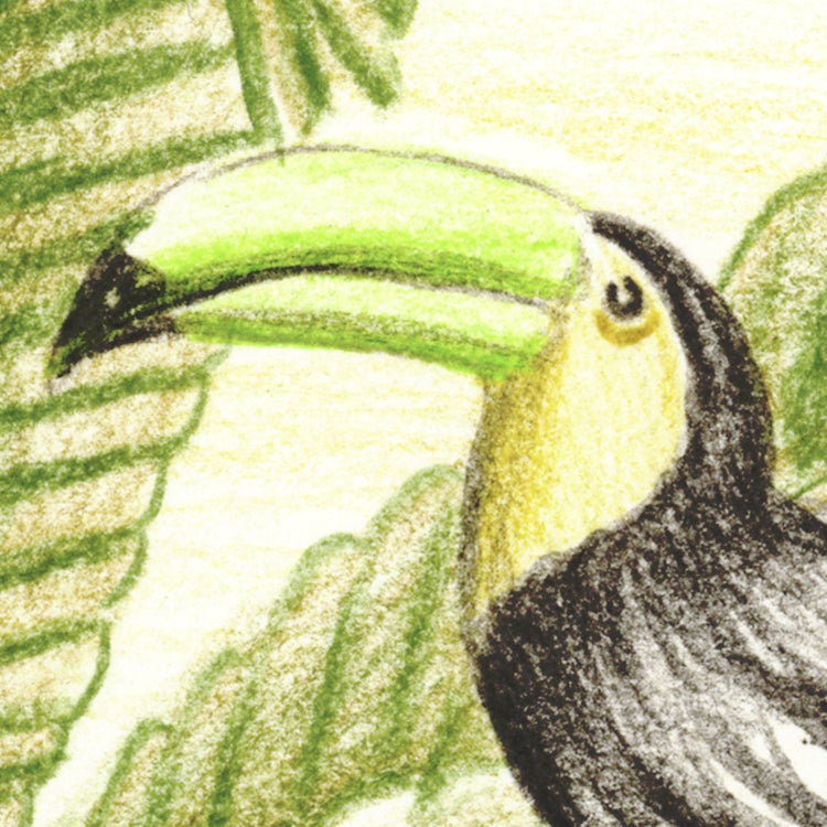 Papier peint panoramique Jungle adventure vert l.350 x H.250 cm - 5