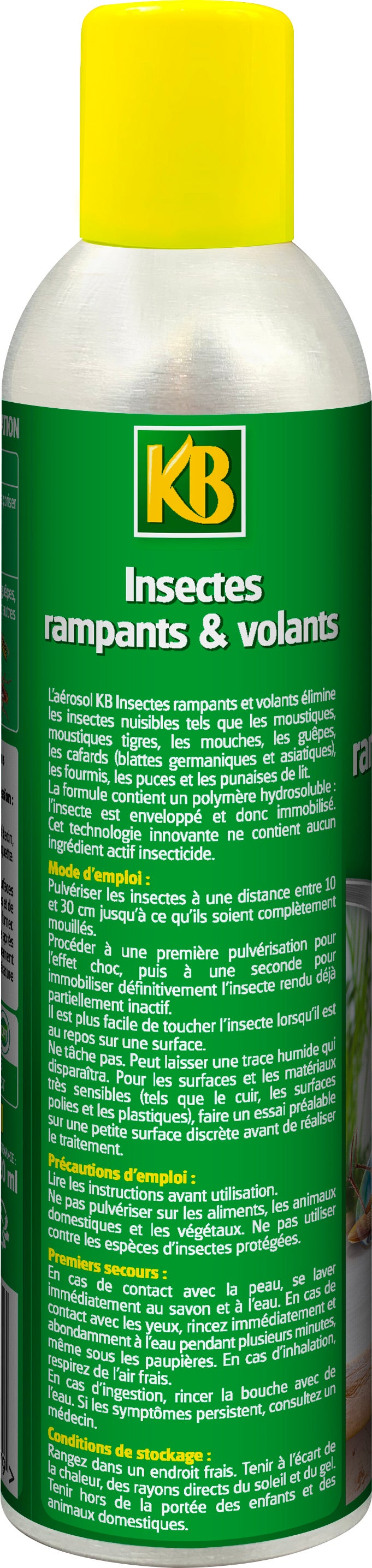 Aérosol insecticide liquide insectes volants et rempants, Kbmixae KB, 300 ml - 2