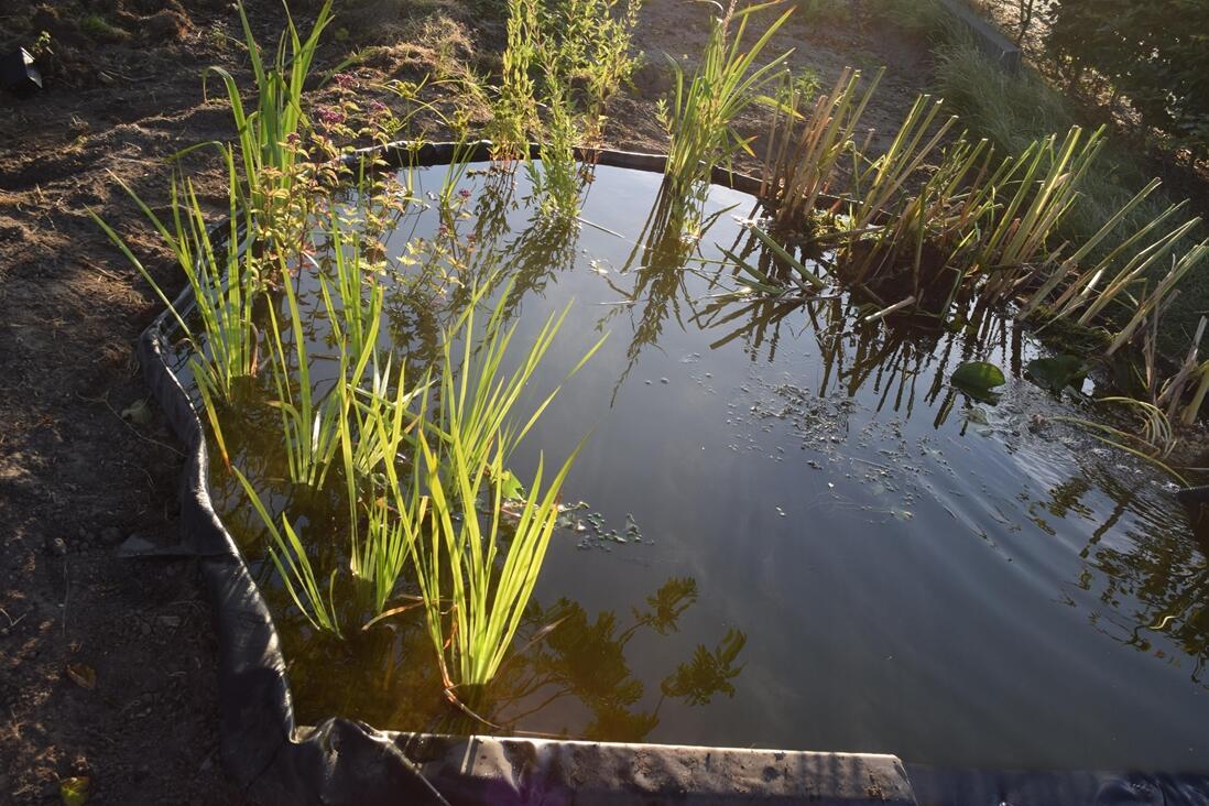 bordure_bassin - 1