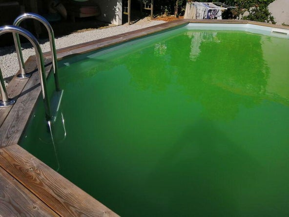 eau_piscine_verte