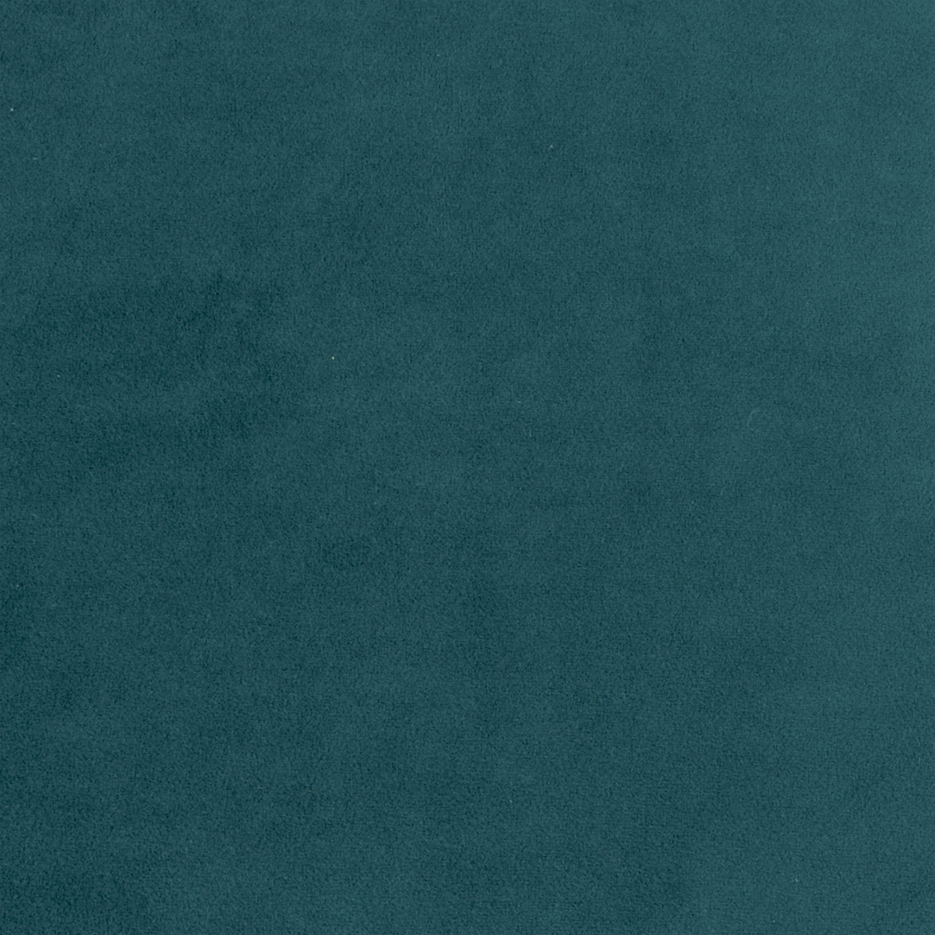 Coussin Clarks, velours, vert l.45 x H.45 cm INSPIRE - 4