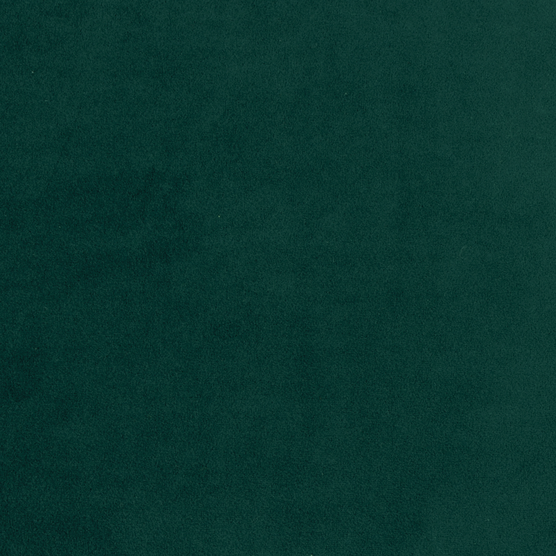 Coussin Clarks, velours, vert l.45 x H.45 cm INSPIRE - 4