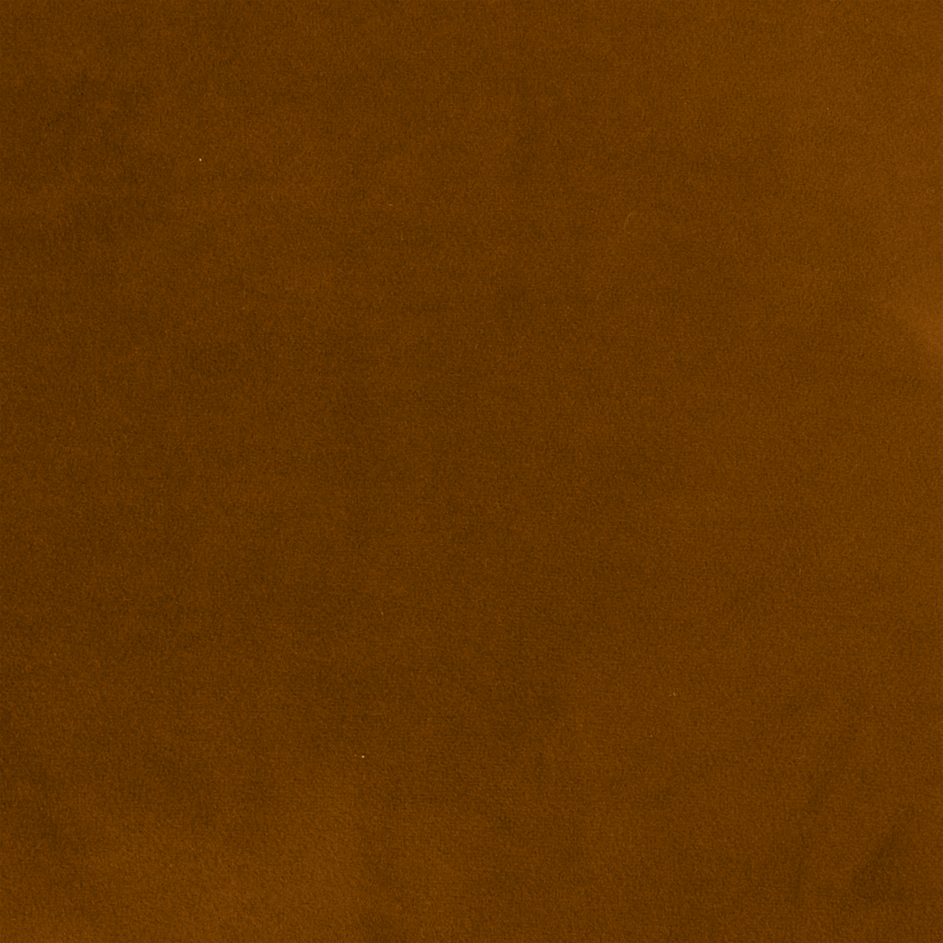 Coussin Clarks, velours, Marron l.45 x H.45 cm INSPIRE - 4