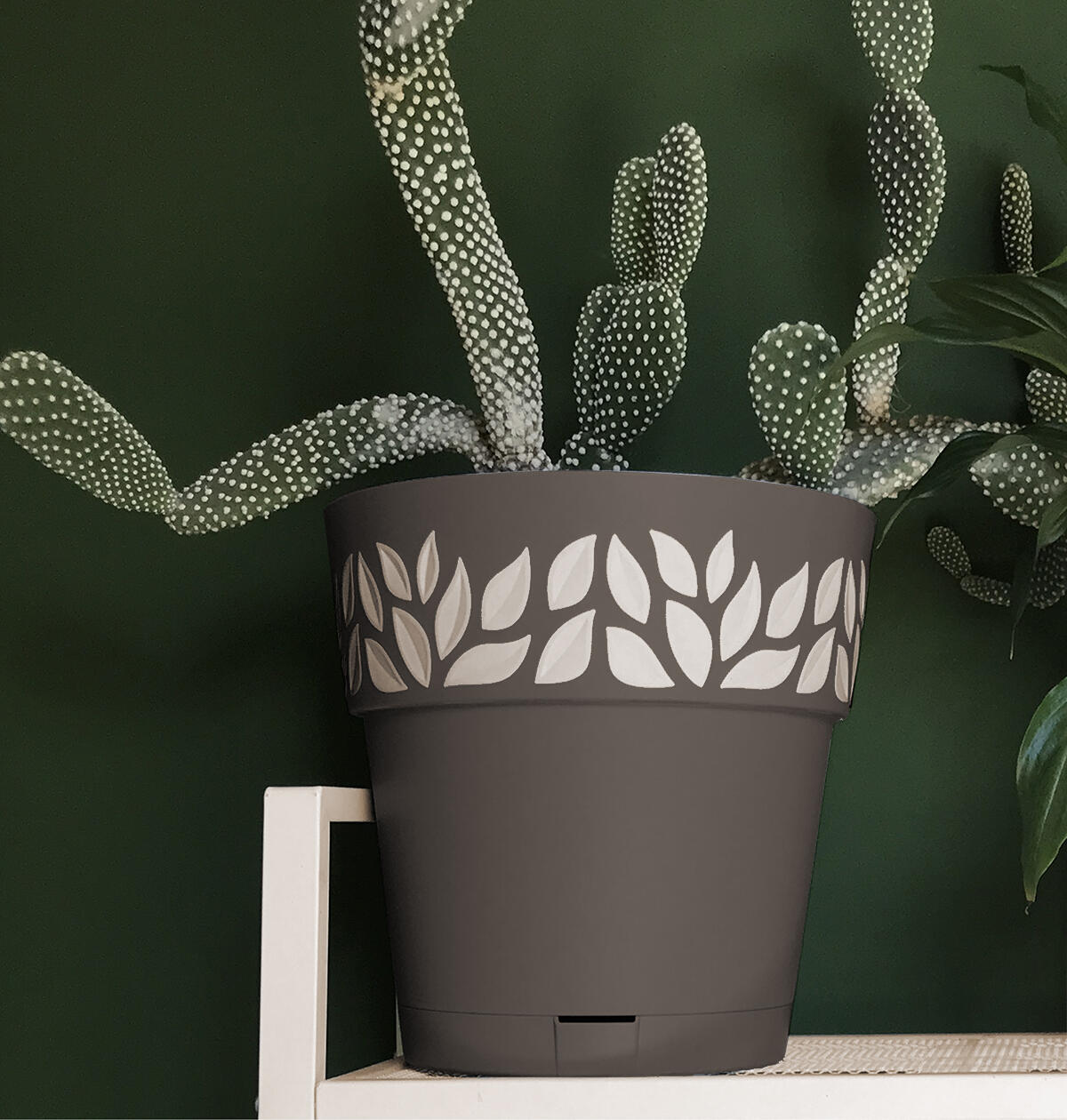 Vaso e piattino Opera Cloe STEFANPLAST in polipropilene grigio H 19 x ø 20 cm - 3