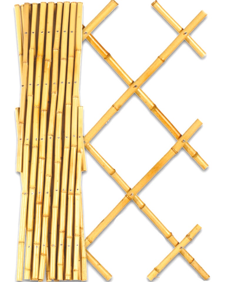 Traliccio estensibile 4F GROUP in bambù L 90 x H 180 cm, Sp 12 mm - 3
