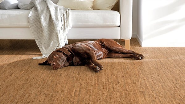 Revêtement de sol liège décor liège