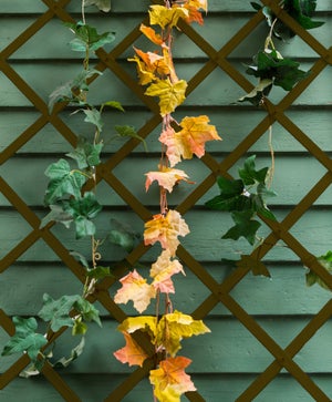 Traliccio Estensibile VERDELOOK In Plastica - Decorazione Per Balcone E Giardino - Foto 5