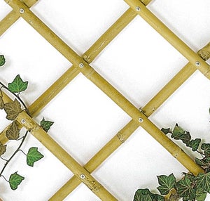 Set Da 50 Tutori In Bambù Per Piante – 120 Cm X 8-10 Mm, Supporti Per Pomodori, Rampicanti E Alberi Da Giardino