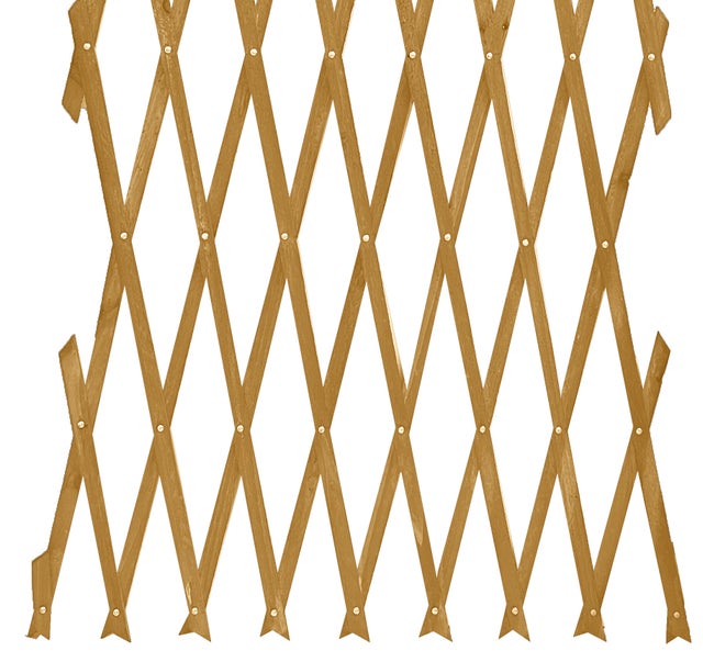 Traliccio estensibile 4F GROUP marrone chiaro L 150 x H 210 cm, Sp 7 mm