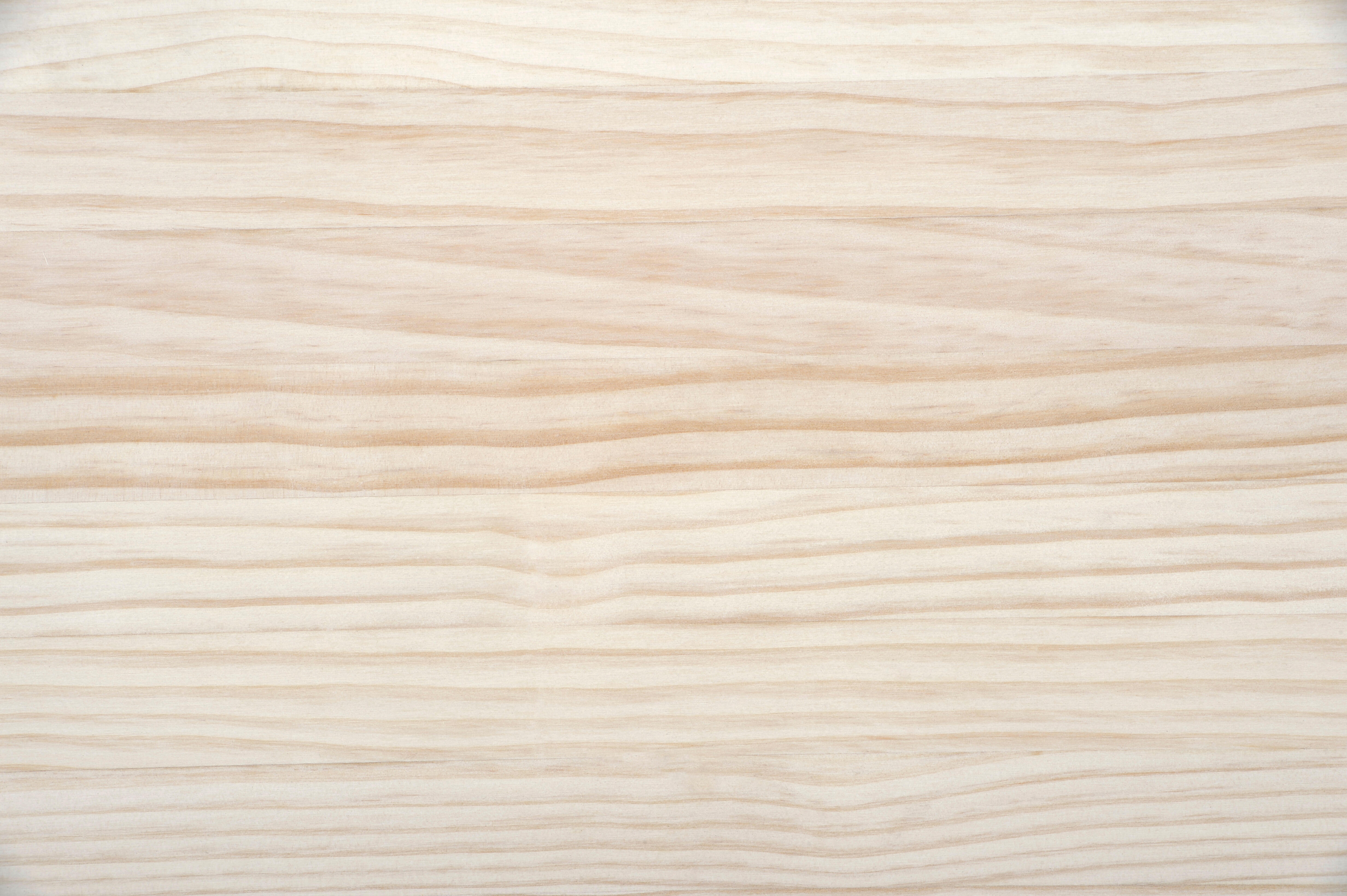 Painel de madeira maciça PINHO COM NÓ 2400X500X18MM REDONDO - 2