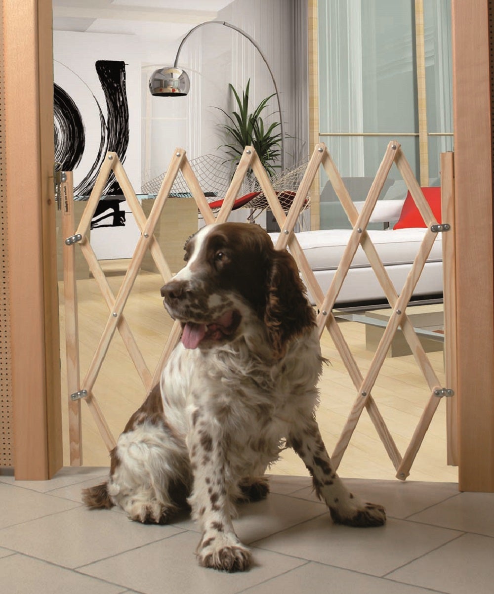 Barreira de segurança para animais STOPFIX 63.5-102CM - 2