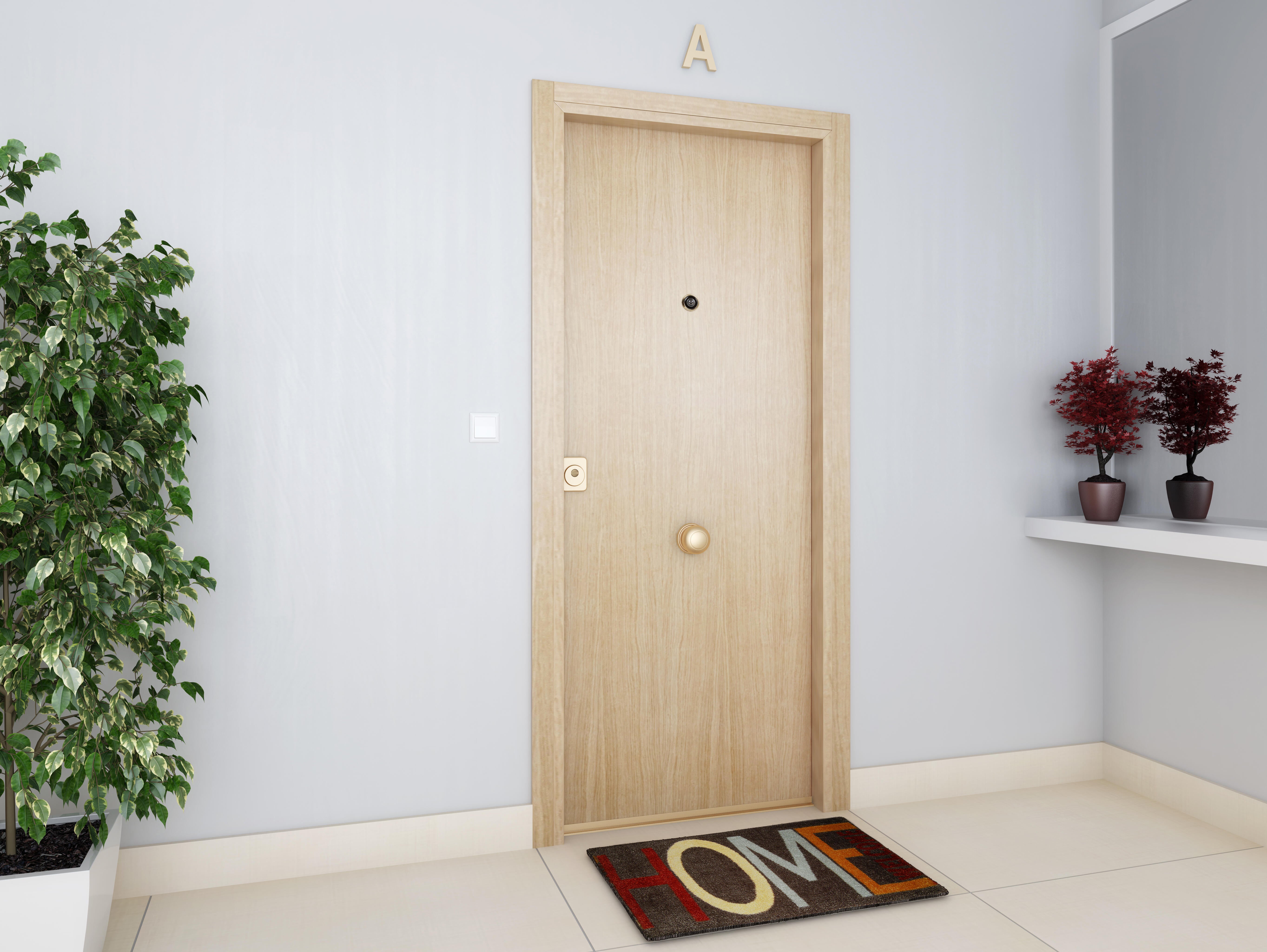 Puerta de entrada acorazada 300 lisa derecha roble/blanco de 90.3x208 cm