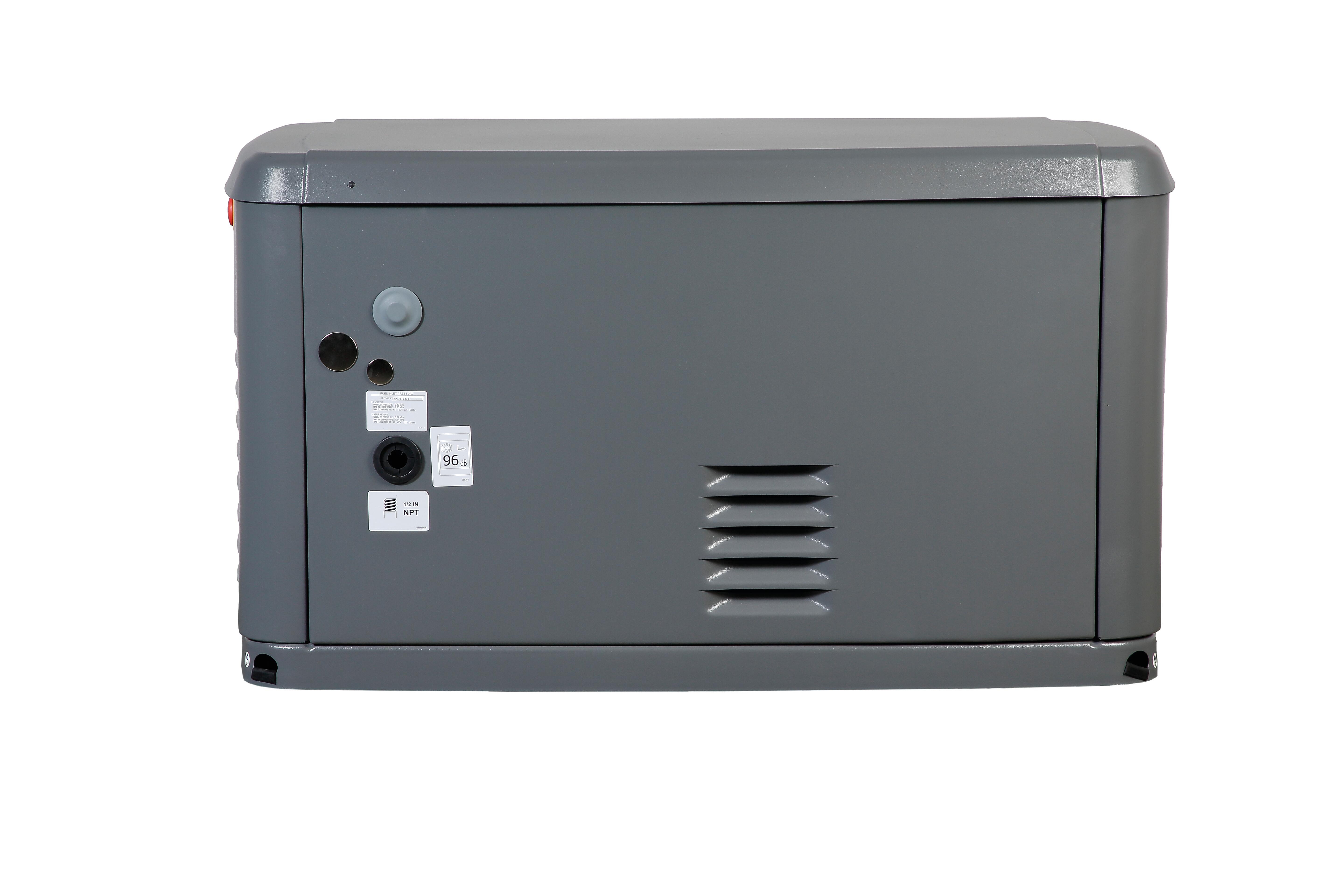 Generador a gas pramac ga 10000w