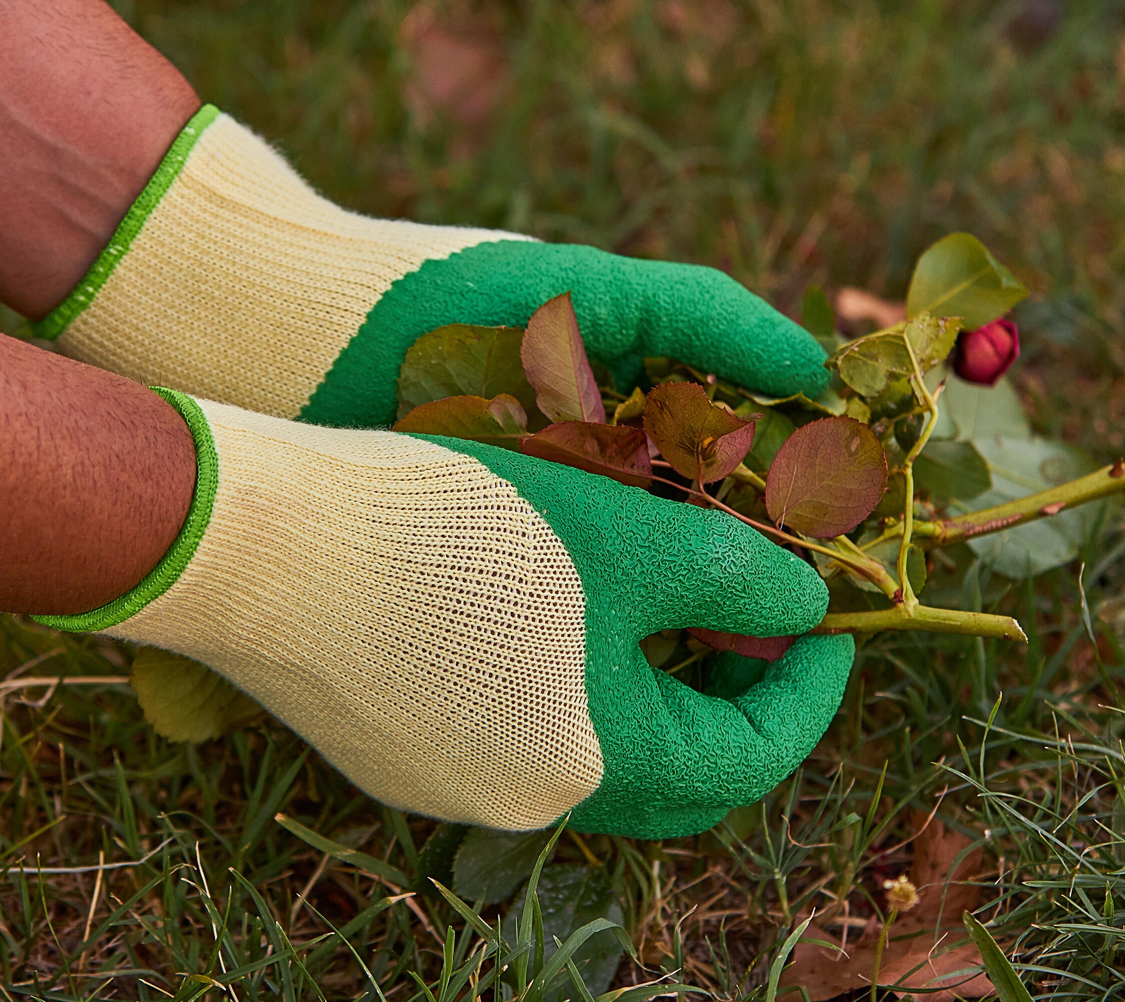 Guantes de jardín para rosales/maleza JUBA látex T9 / L - 2