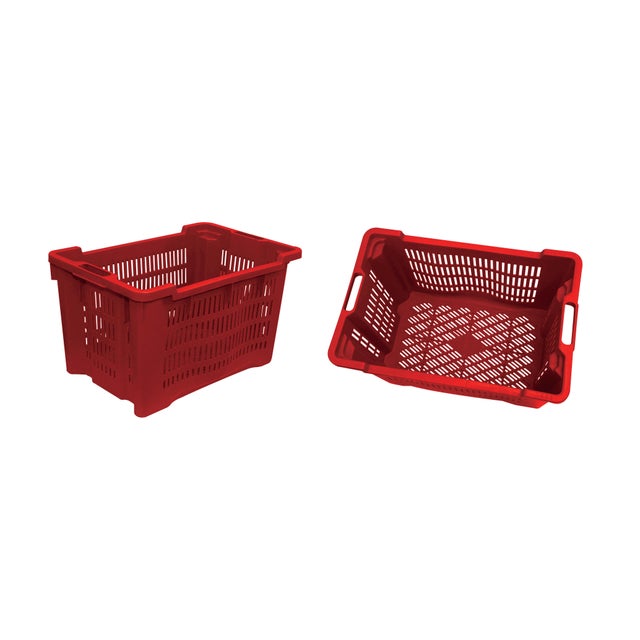 Raccoglifrutta 4F GROUP Cassetta raccogli olive manico in plastica L 10 cm