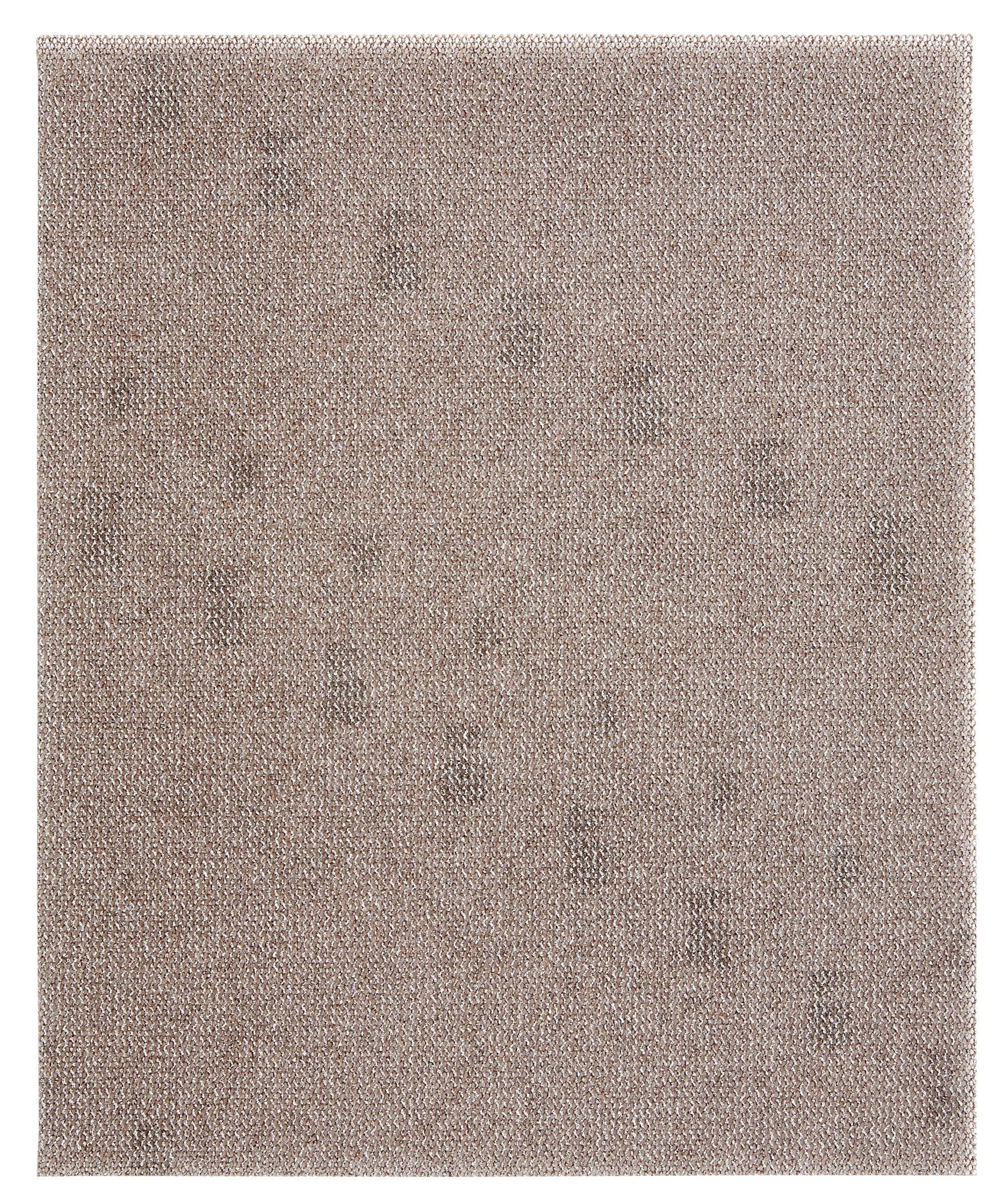 Malla abrasiva DEXTER PRO con grano de 80 - 2