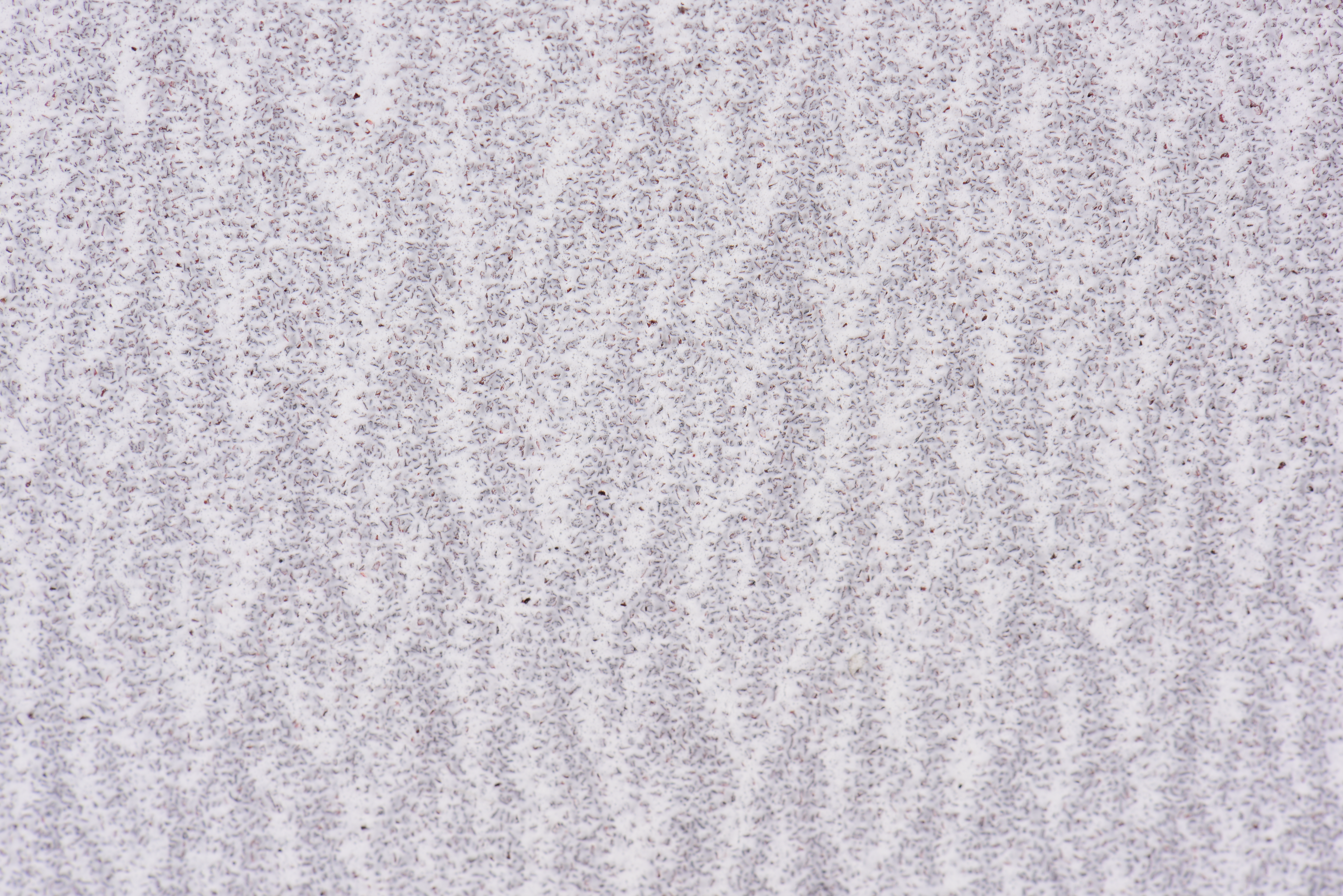 5 lixas DEXTER D225MM G120 - 4