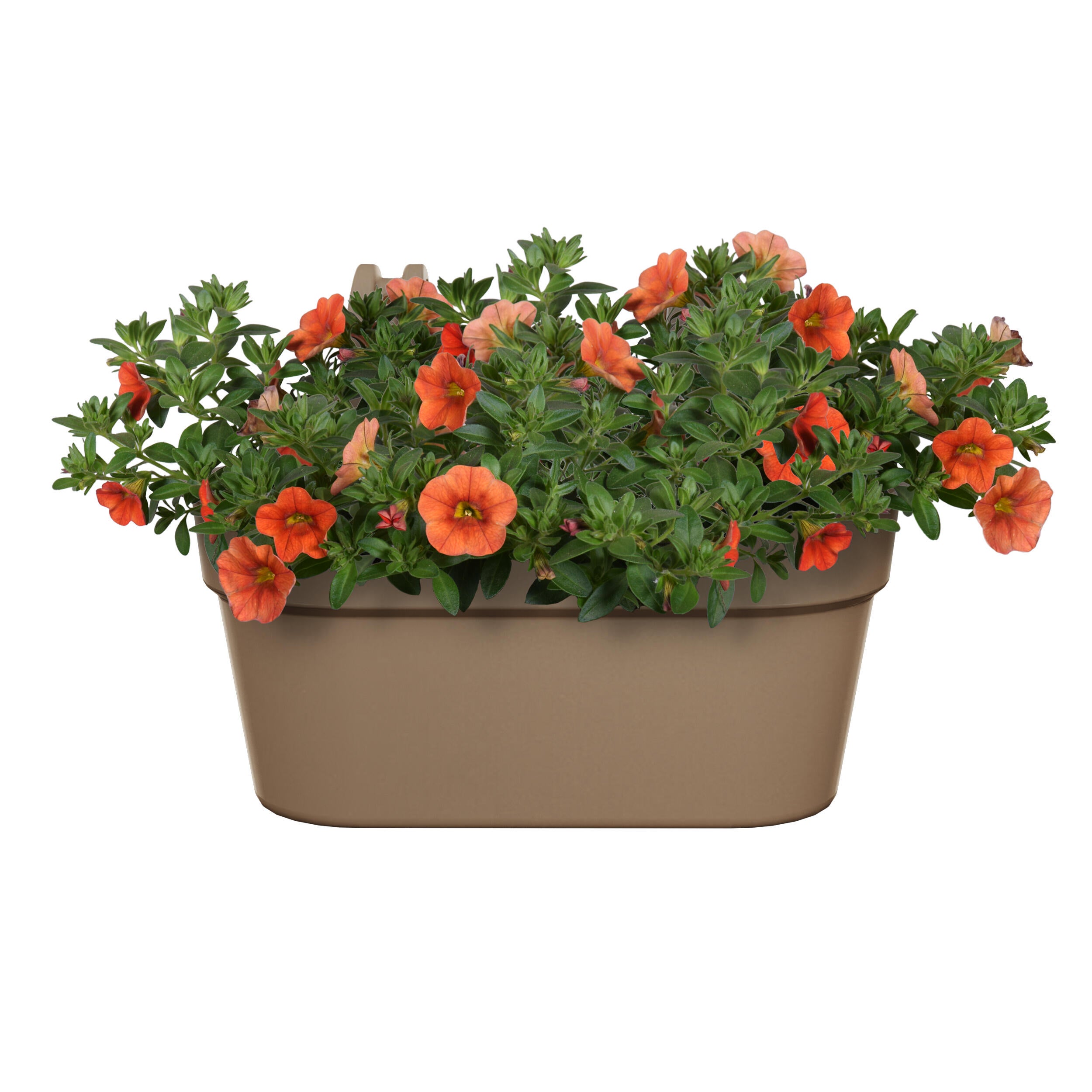 Jardinière balcon polypropylène NATERIAL x l.35 x H.24.8 cm beige - 2