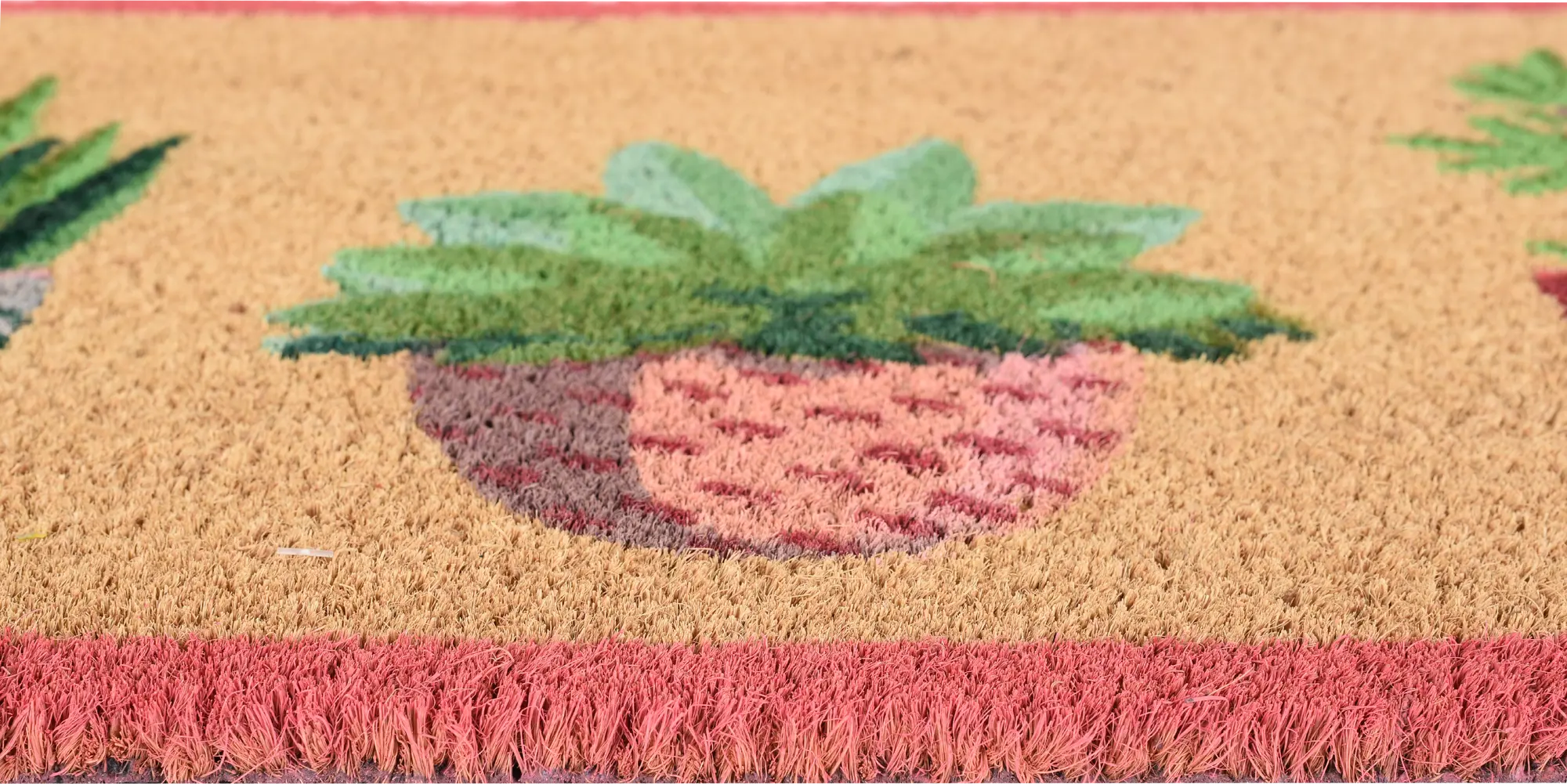 Tapete de entrada COCO VASOS 40X70CM VERDE - 7