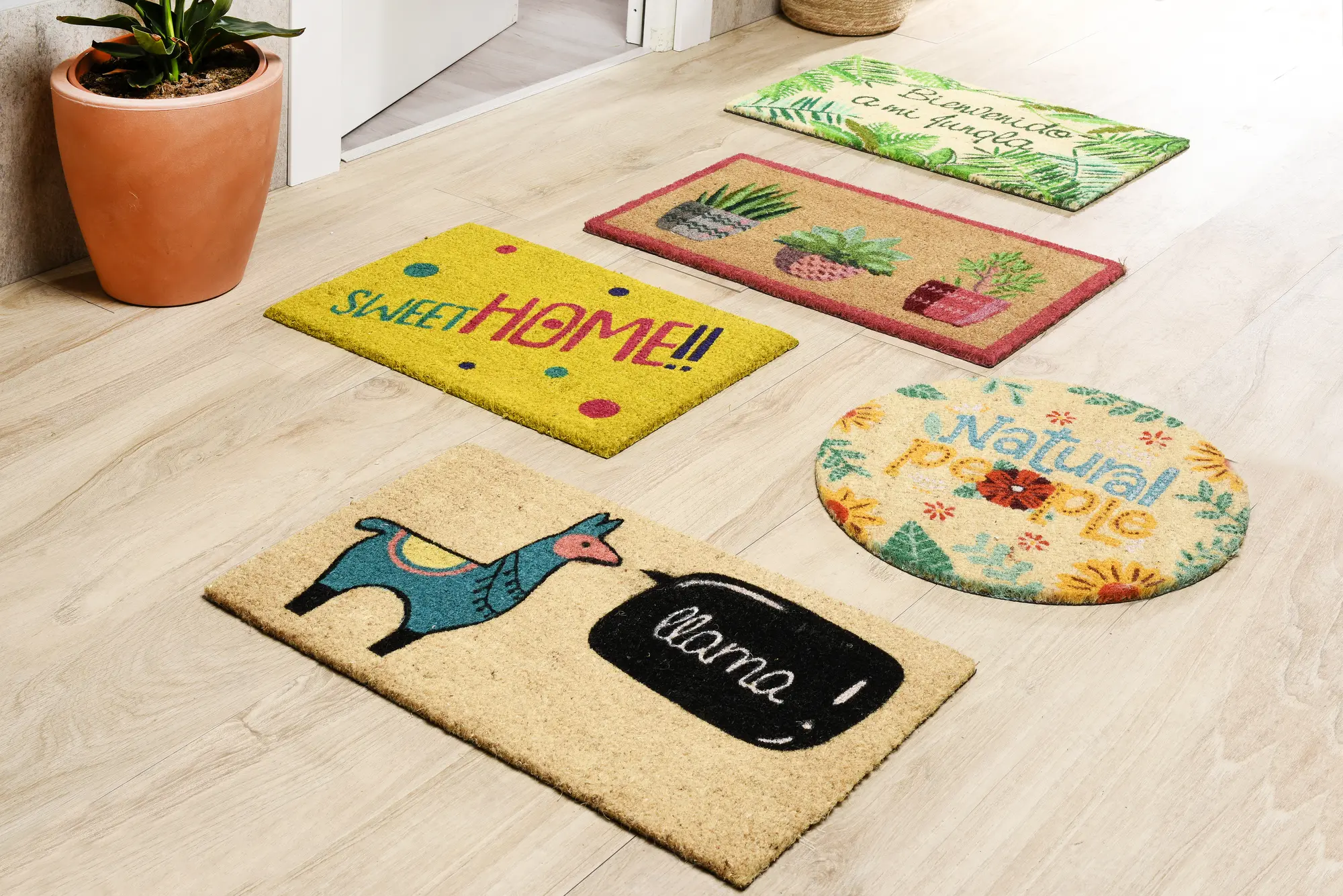 Tapete de entrada COCO VASOS 40X70CM VERDE - 9