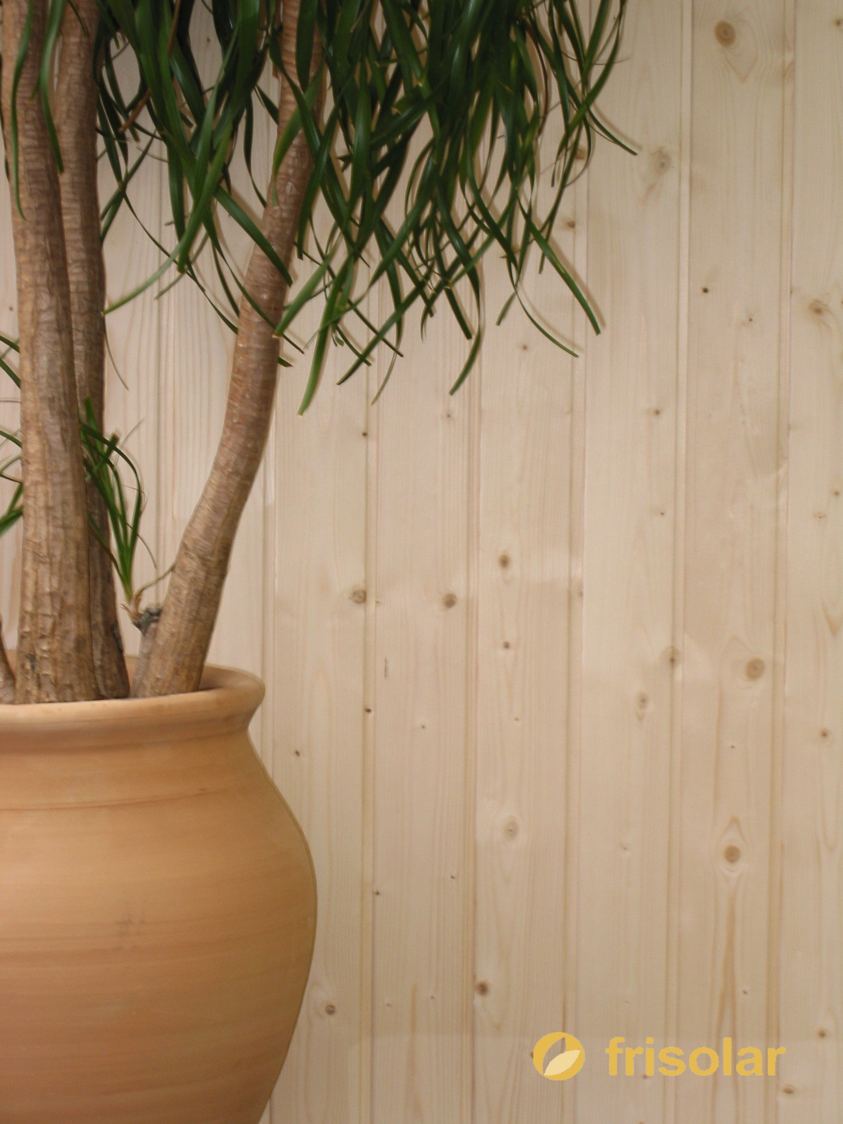 Friso abeto 95x10 madera natural cepillado 120x9.5 cm 1,14 m2/caja