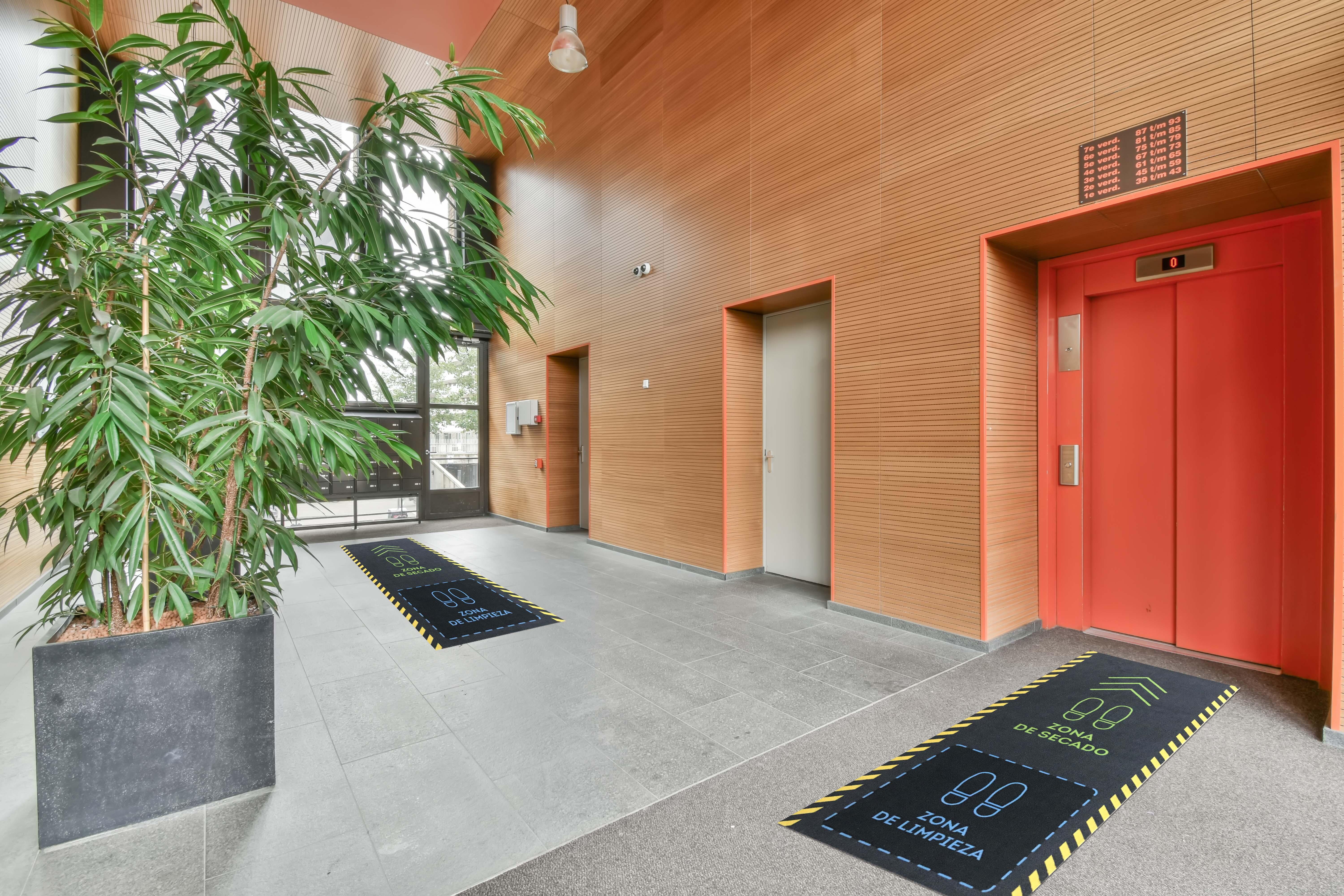 Tapete de entrada LIMPA & SECA DESINFETANTE 65X150CM - 3