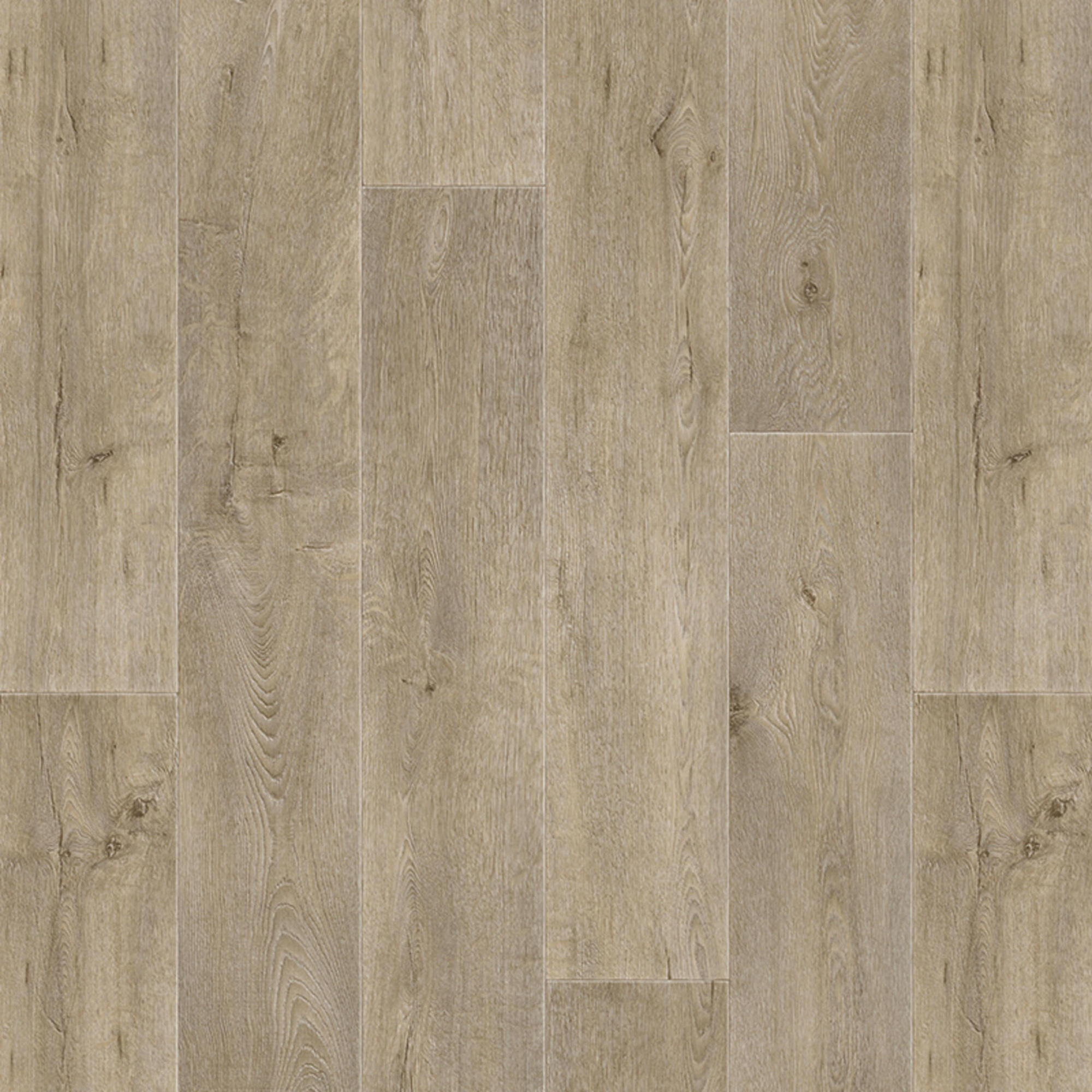 Pavimento vinílico a rolo intenso Tarkett Legacy Oak bege (largura do rolo 2m) - 2