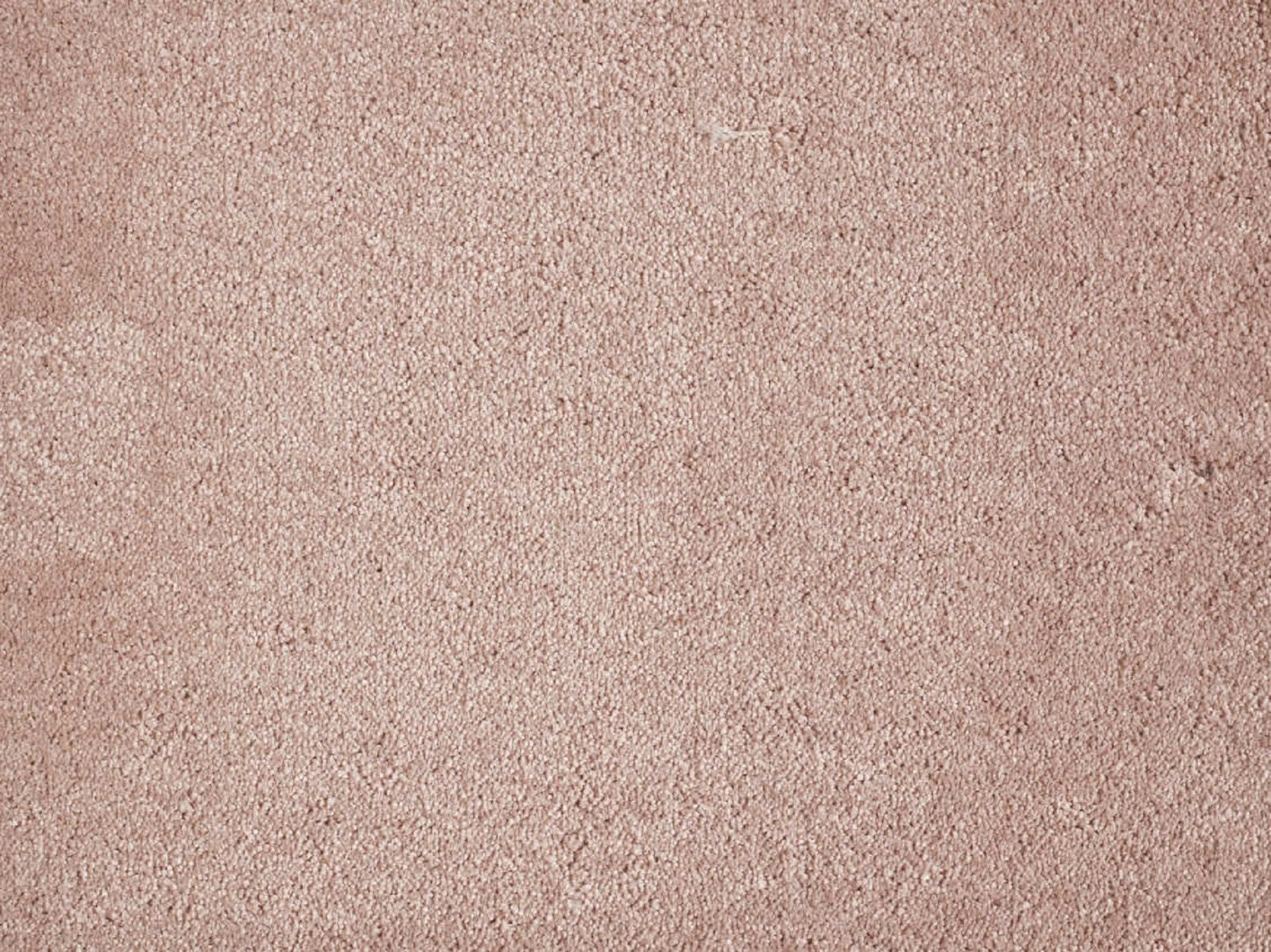 Moqueta pelo grueso belinda rosa. pedido mínimo 4m²