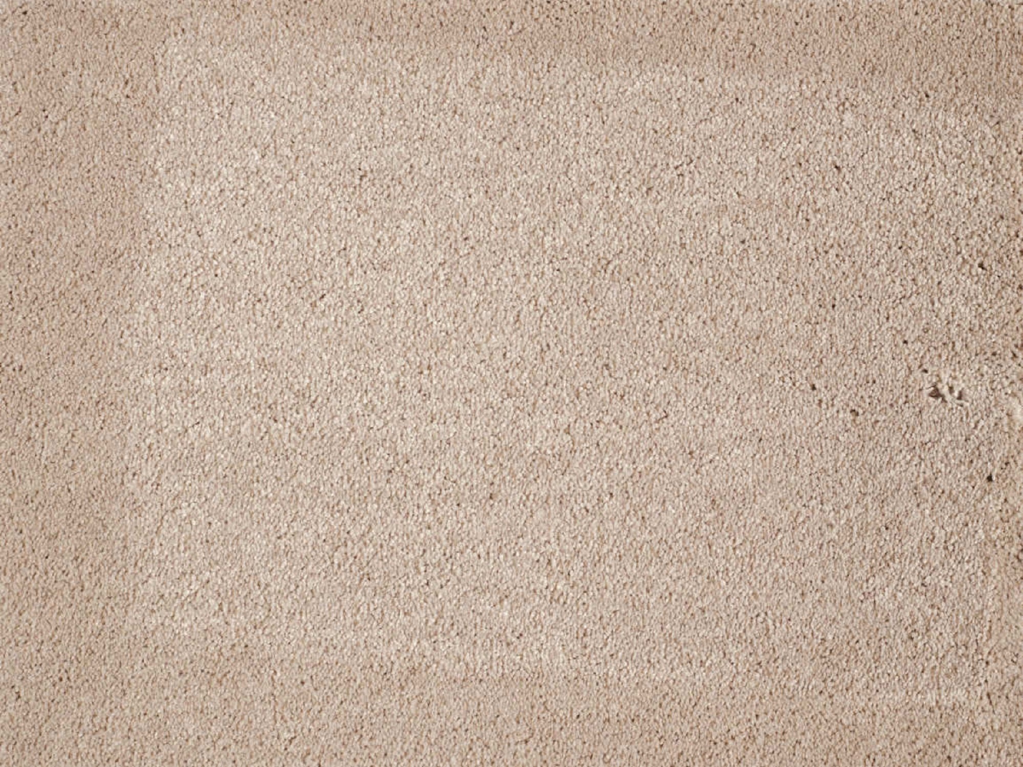 Moqueta pelo grueso belinda arena. pedido mínimo 4m²