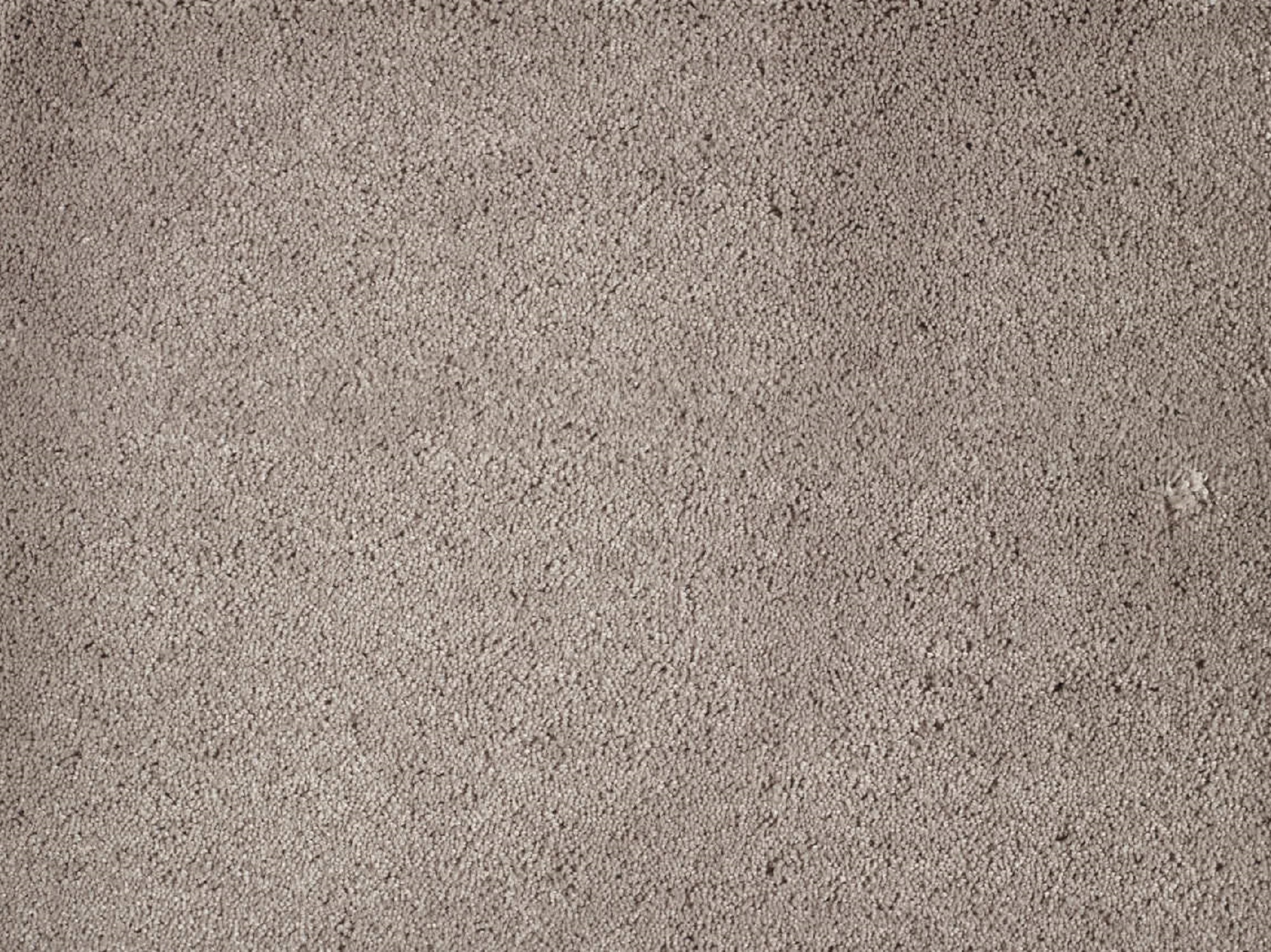 Moqueta pelo grueso belinda marrón. pedido mínimo 4m²