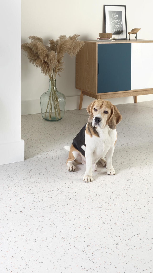 Pavimento vinílico PVC click flutuante TARKETT Starfloor Click Solid 55 Venezo 5 mm