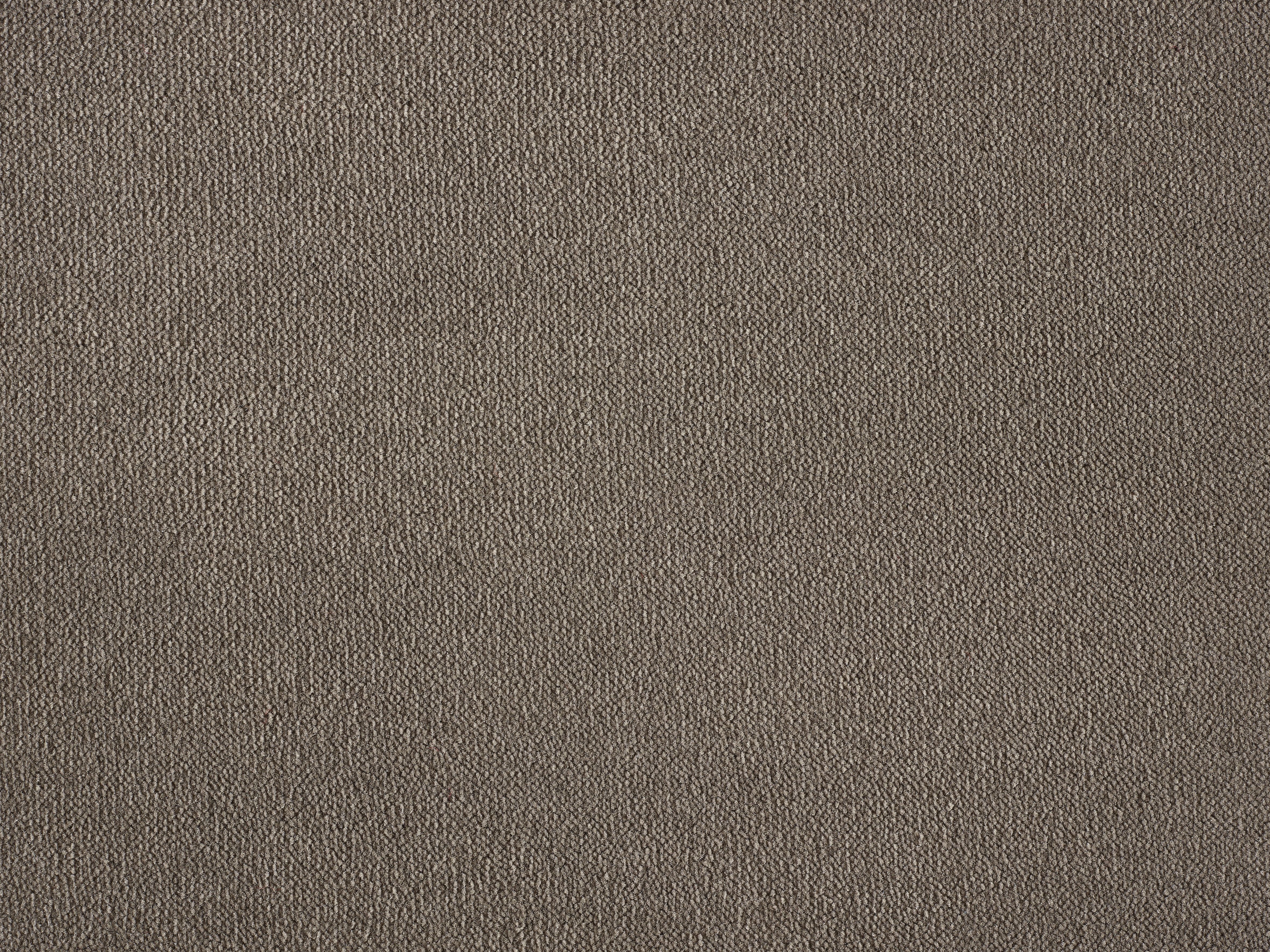 Moqueta de pelo grueso noblesse pepper gris 2m de ancho. pedido mínimo 4m².