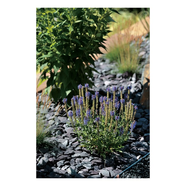 Sacchetto di roccia ardesia nera 20 kg 30/50 mm