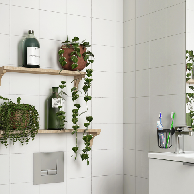 Baño con plantas. 