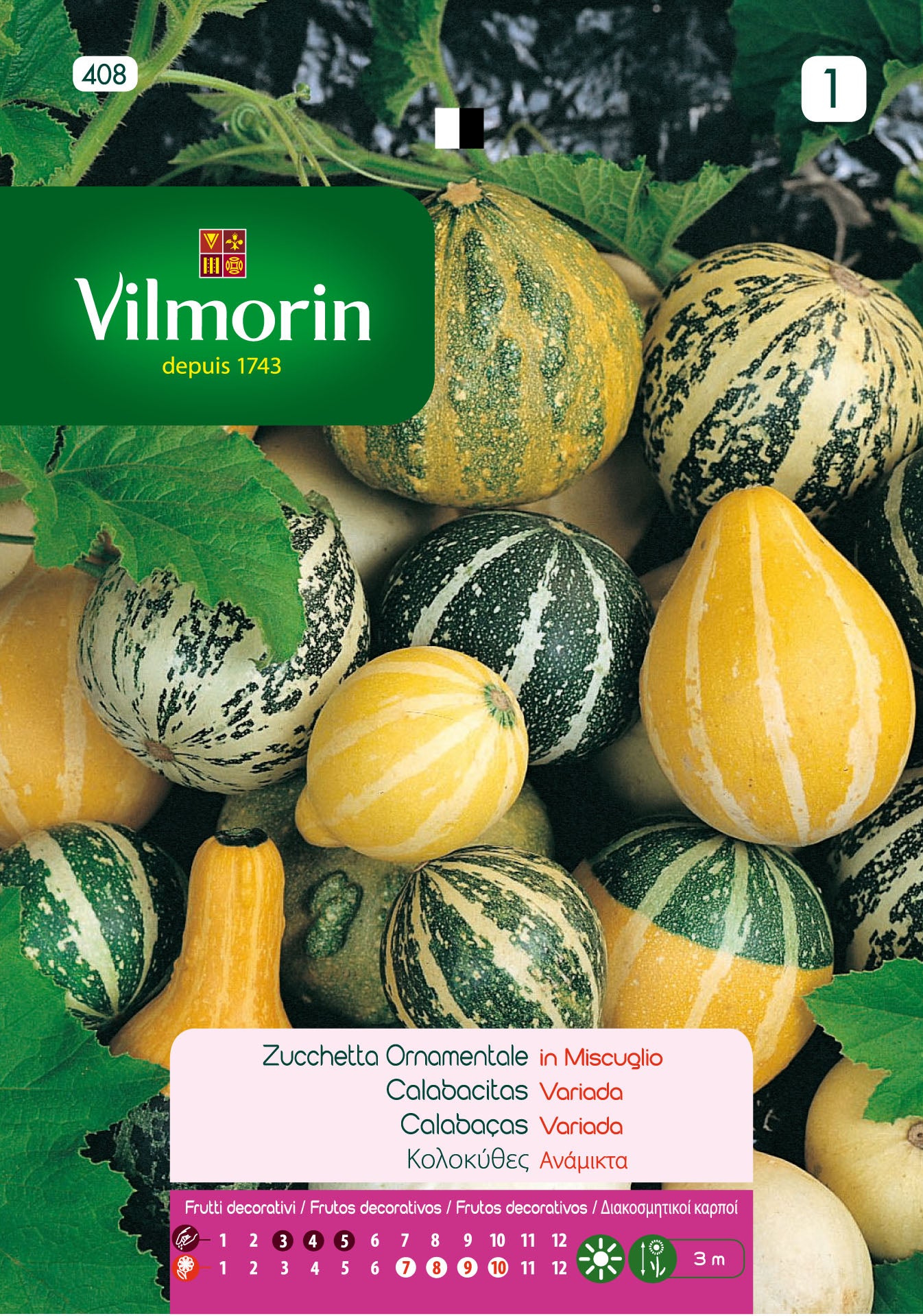 Semilla de calabacitas Variadas - 2
