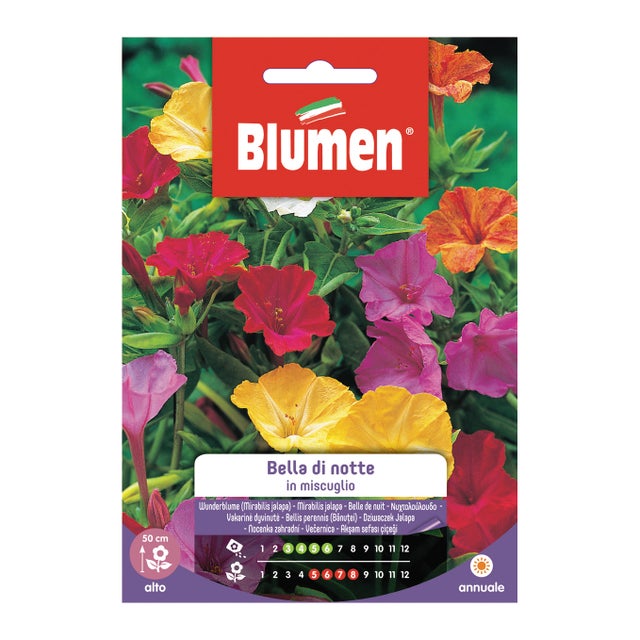 Semi di bella della notte in miscuglio BLUMEN 1 g
