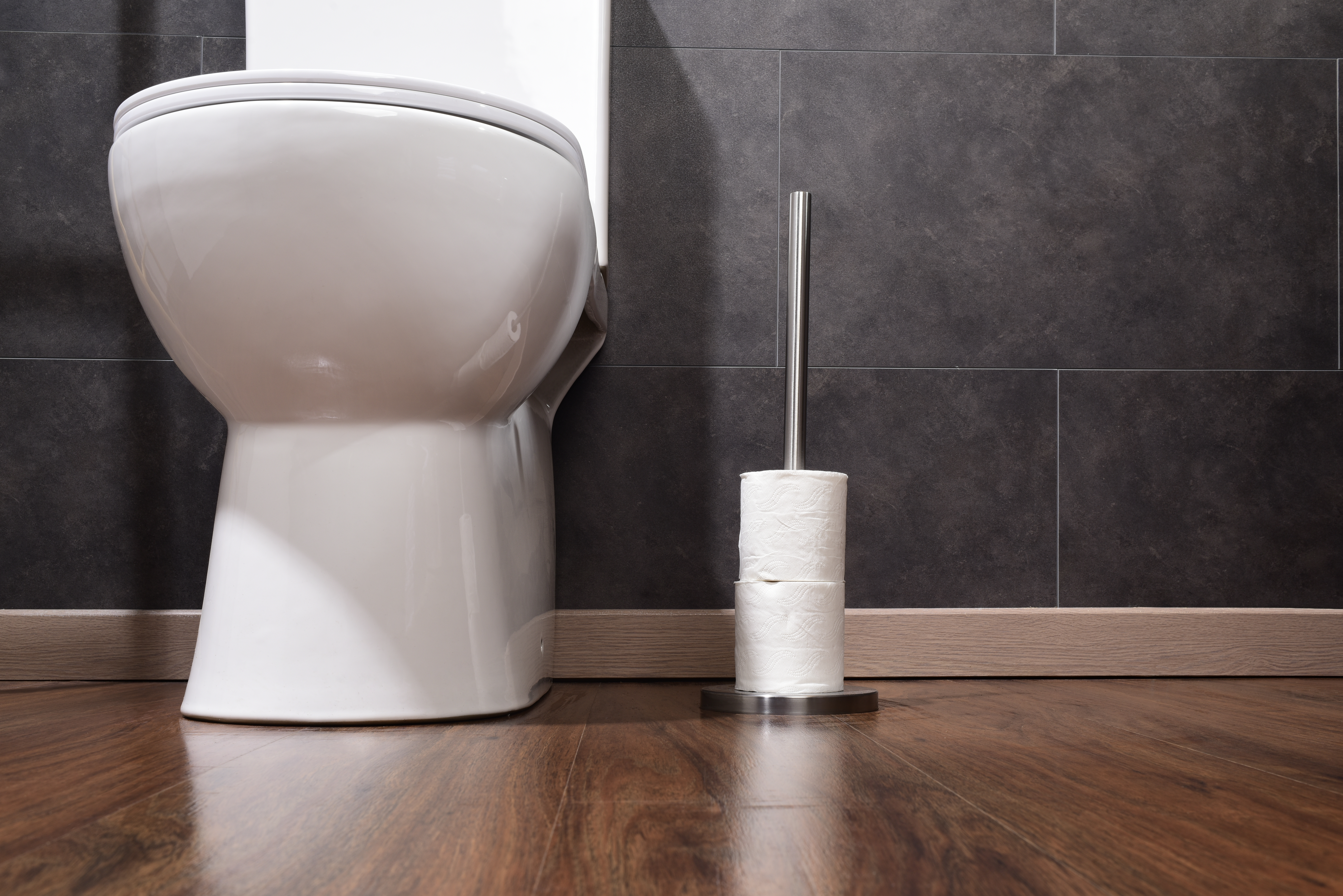 Portarrollo de reserva de papel higiénico plata - 2