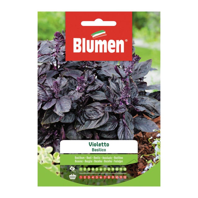 Semi di basilico violetto BLUMEN 18 g
